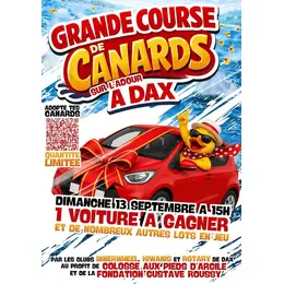 Course de canards sur l'ADOUR