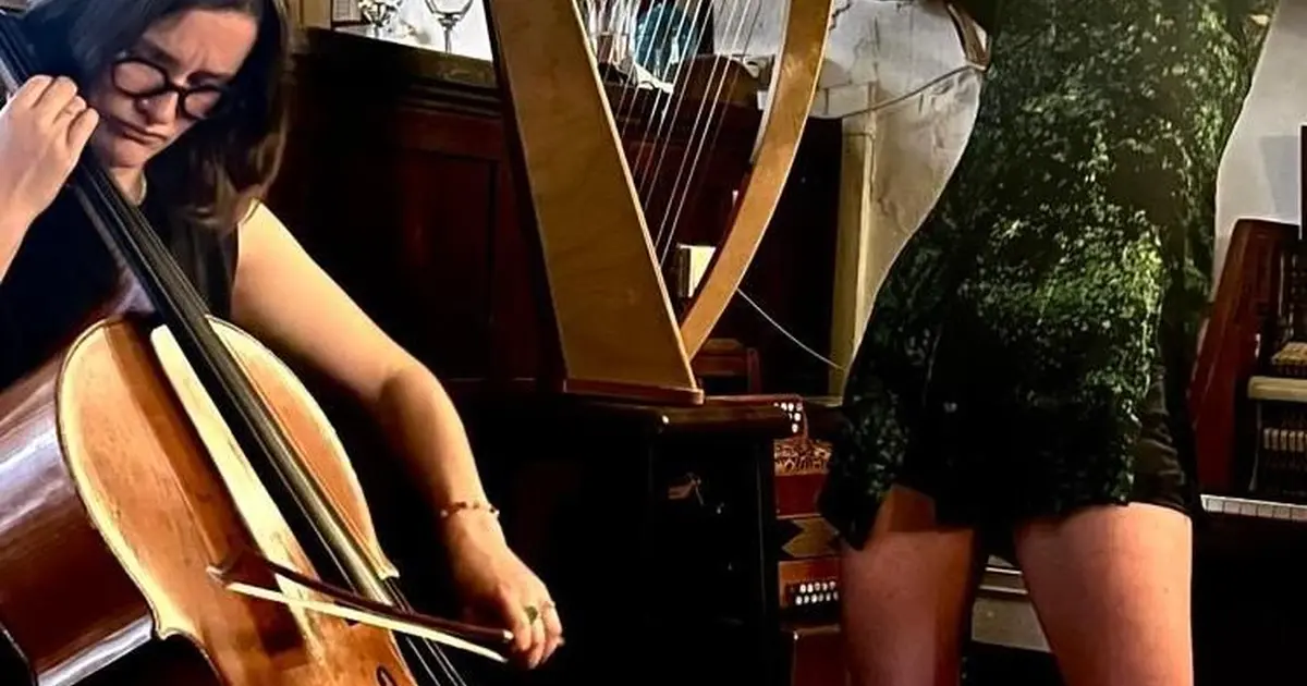 Concxert acoustique de Fanny Perrier-Rochas