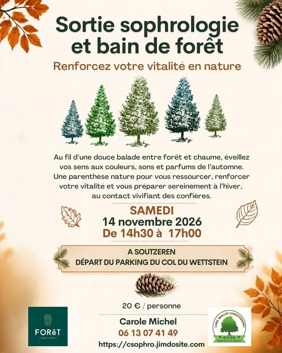 Renforcez votre vitalité avec le bain de forêt