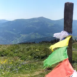 Le Floritrail