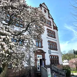 Journées du Patrimoine 2026 avec la Maison de l’Archéologie des Vosges du Nord !