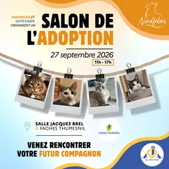 Salon de l’adoption – spécial chats à Faches-Thumesnil