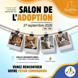 Salon de l’adoption – spécial chats à Faches-Thumesnil