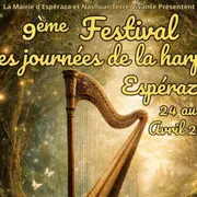 9ème Festival Des Journées De La Harpe