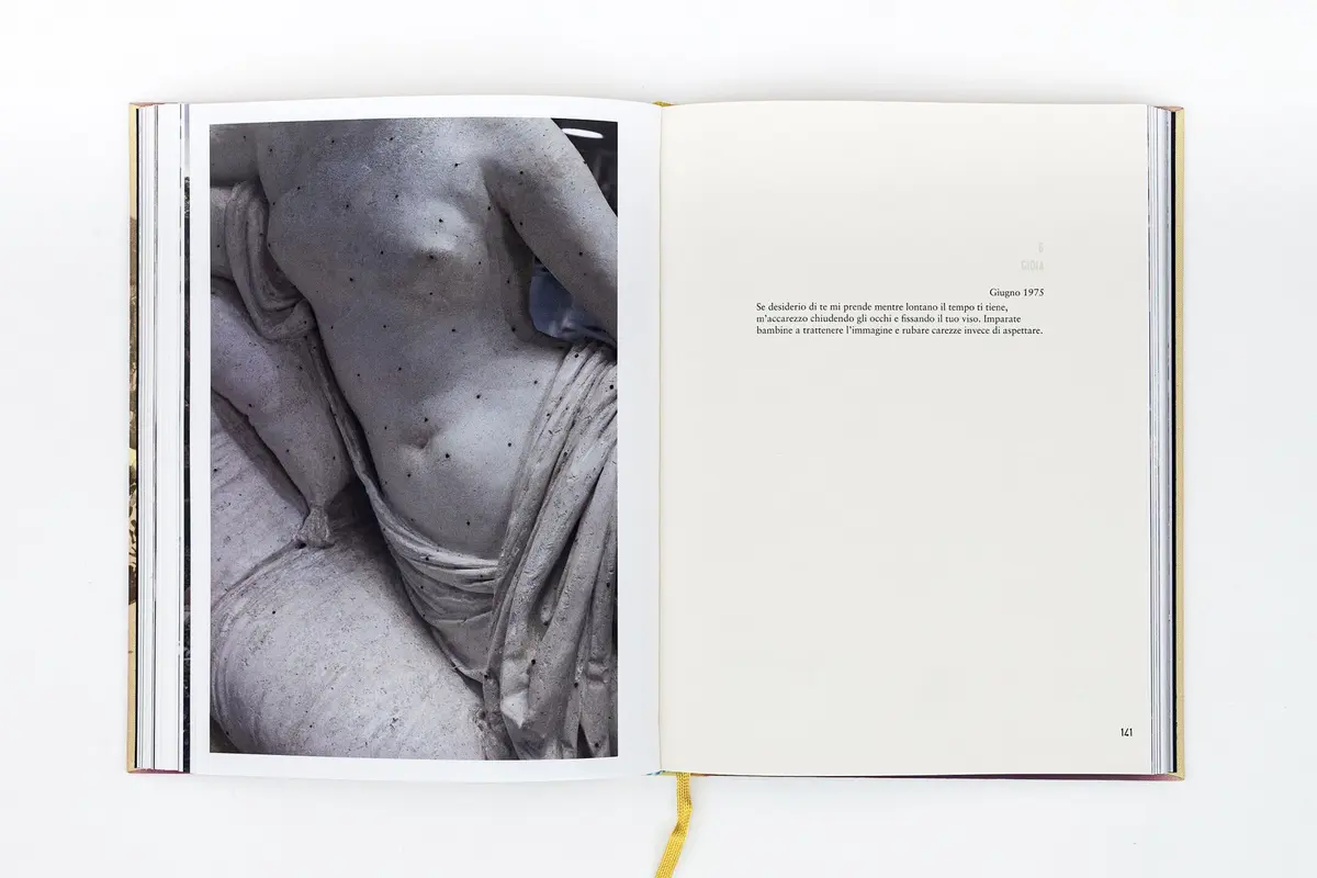 Table ronde : Voir et les mots – dialogue entre photographie et écriture