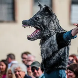 Rue & Vous - Le chienchien des Babaskerville