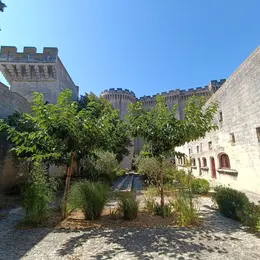 À l'assaut du château ! Visite contée Drôles de bêtes