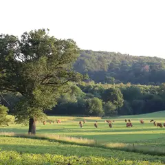 À l’écoute des vivants