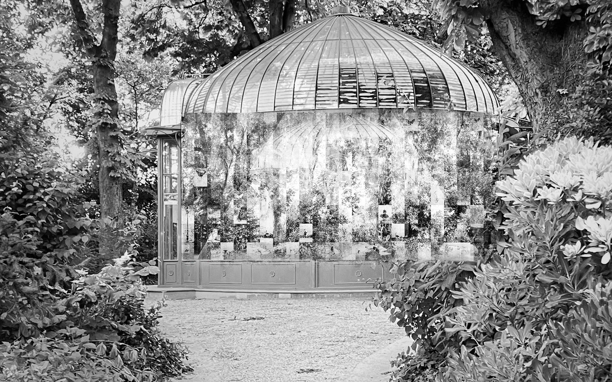 A l'image du jardin, installation de Luca Nicolao