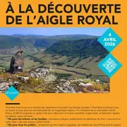 A la découverte de l'Aigle Royal - MESA