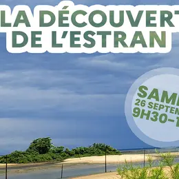À la découverte de l’estran