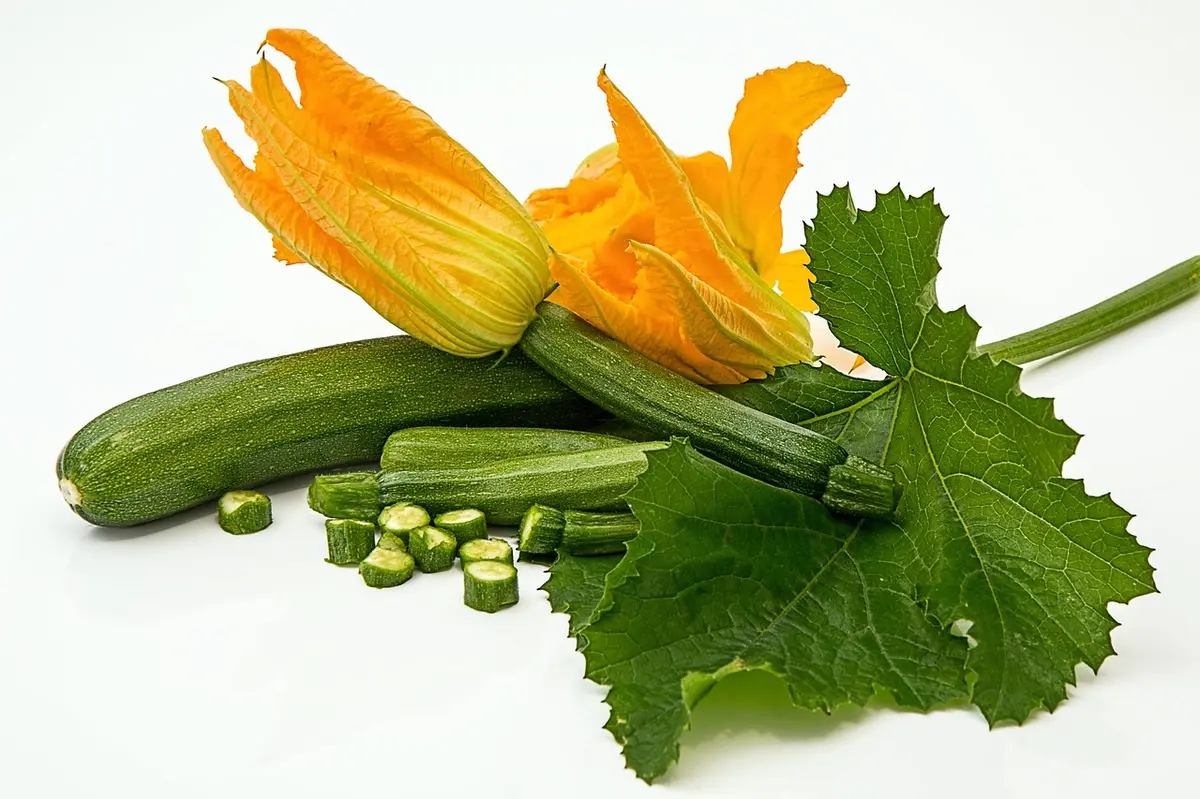 À la découverte de la courge Slàoui