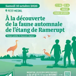 À la découverte de la faune automnale de l'étang de Ramerupt
