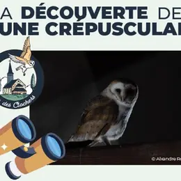 A la découverte de la faune crépusculaire