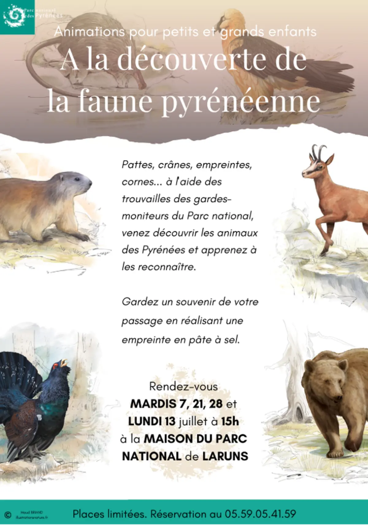 A la découverte de la faune pyrénéenne