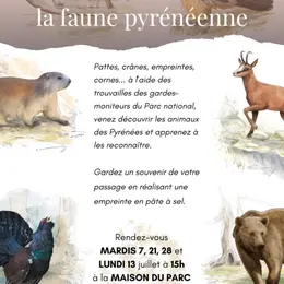A la découverte de la faune pyrénéenne