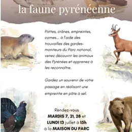 A la découverte de la faune pyrénéenne