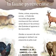 A la découverte de la faune pyrénéenne