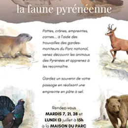 A la découverte de la faune pyrénéenne