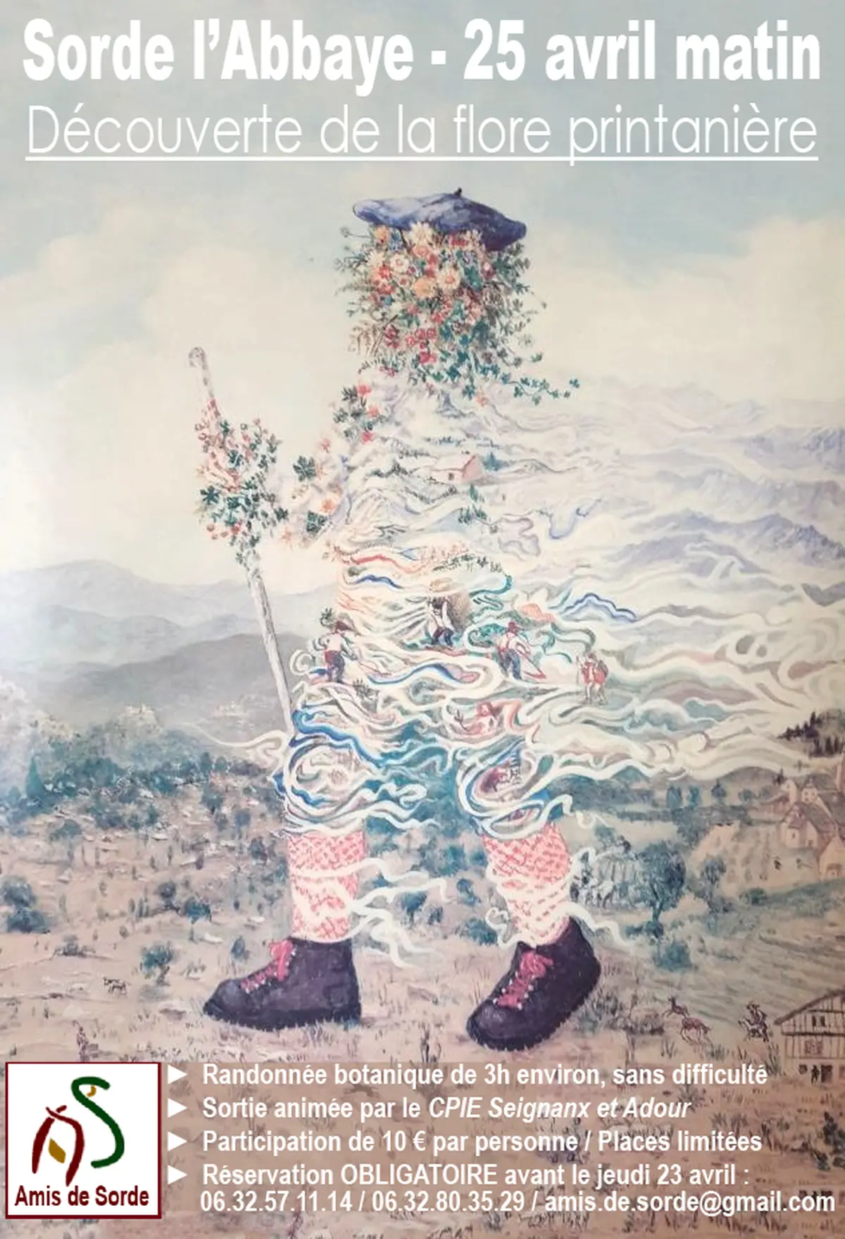 À la découverte de la flore printanière