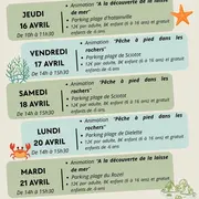 A la découverte de la laisse de mer