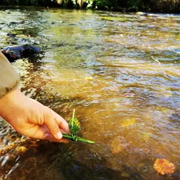 A la découverte de la rivière