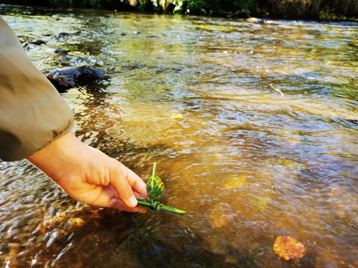 A la découverte de la rivière