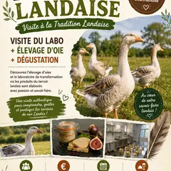 À la découverte de la Tradition Landaise