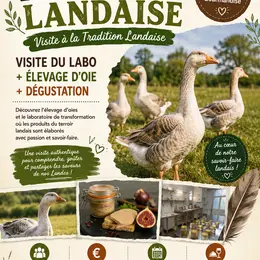 À la découverte de la Tradition Landaise