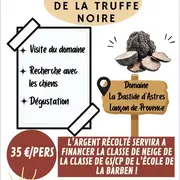 A la découverte de la truffe noire