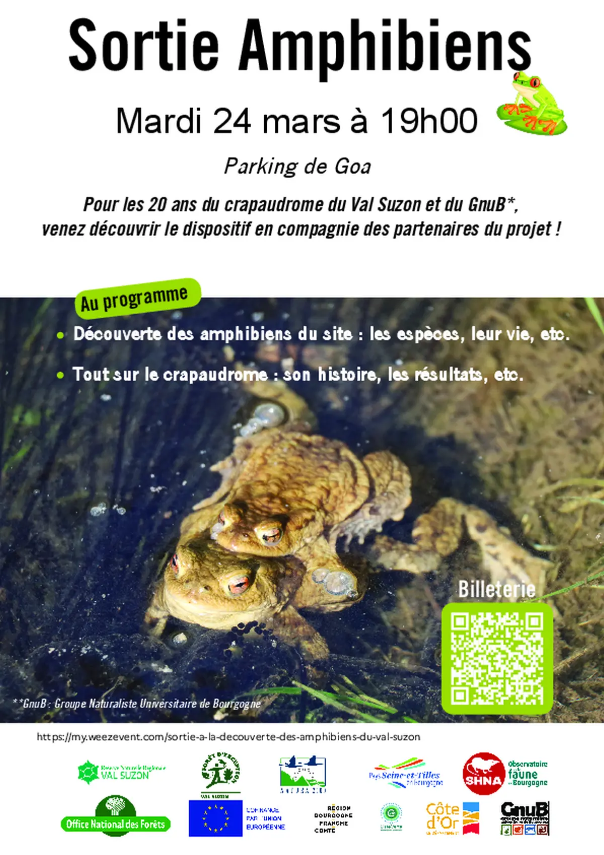 À la découverte des amphibiens du Val Suzon
