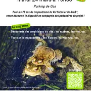 À la découverte des amphibiens du Val Suzon