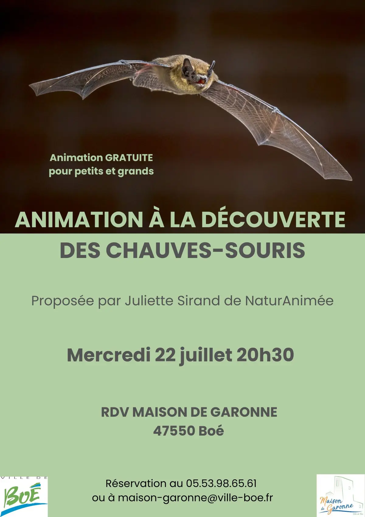 A la découverte des chauves-souris