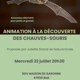 A la découverte des chauves-souris
