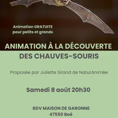 A la découverte des chauves-souris