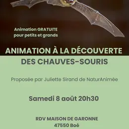 A la découverte des chauves-souris