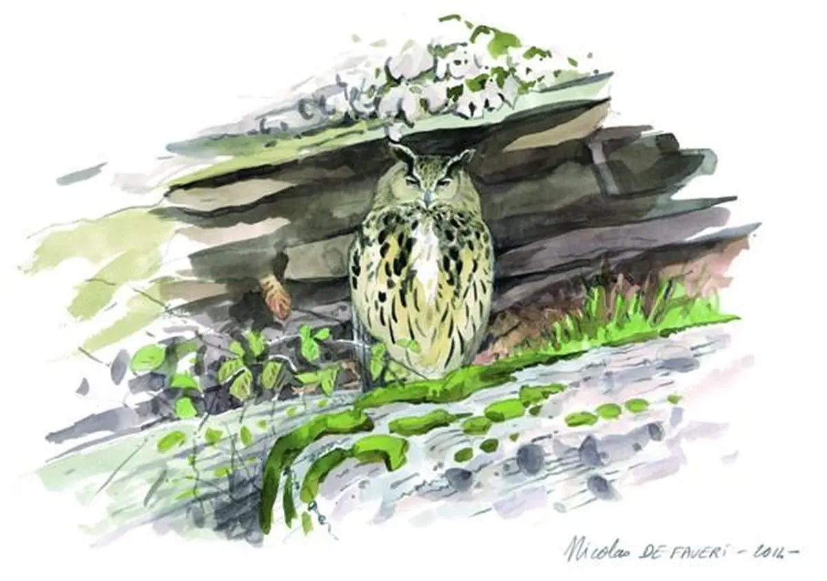 A la découverte des chouettes et des hiboux des Vosges du Nord