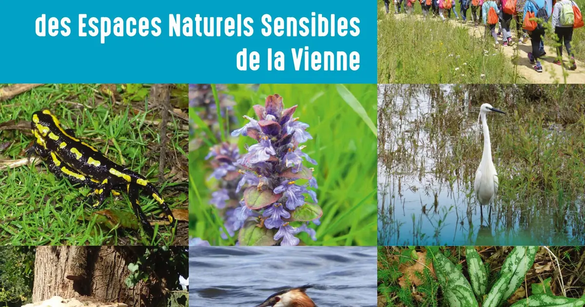 A la découverte des Espaces Naturels Sensibles de la Vienne - Découverte des champignons en terrain calcaire