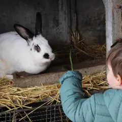 A la découverte des lapins (Atelier enfant - Mon petit lapin)