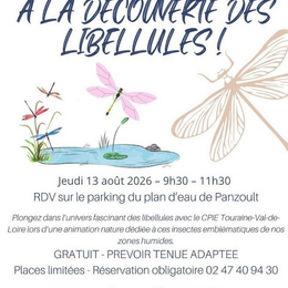 A la découverte des libellules