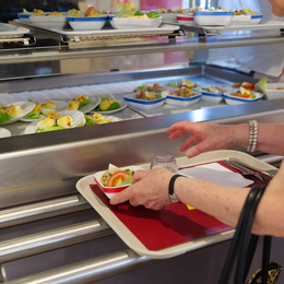À la découverte des métiers de la restauration solidaire