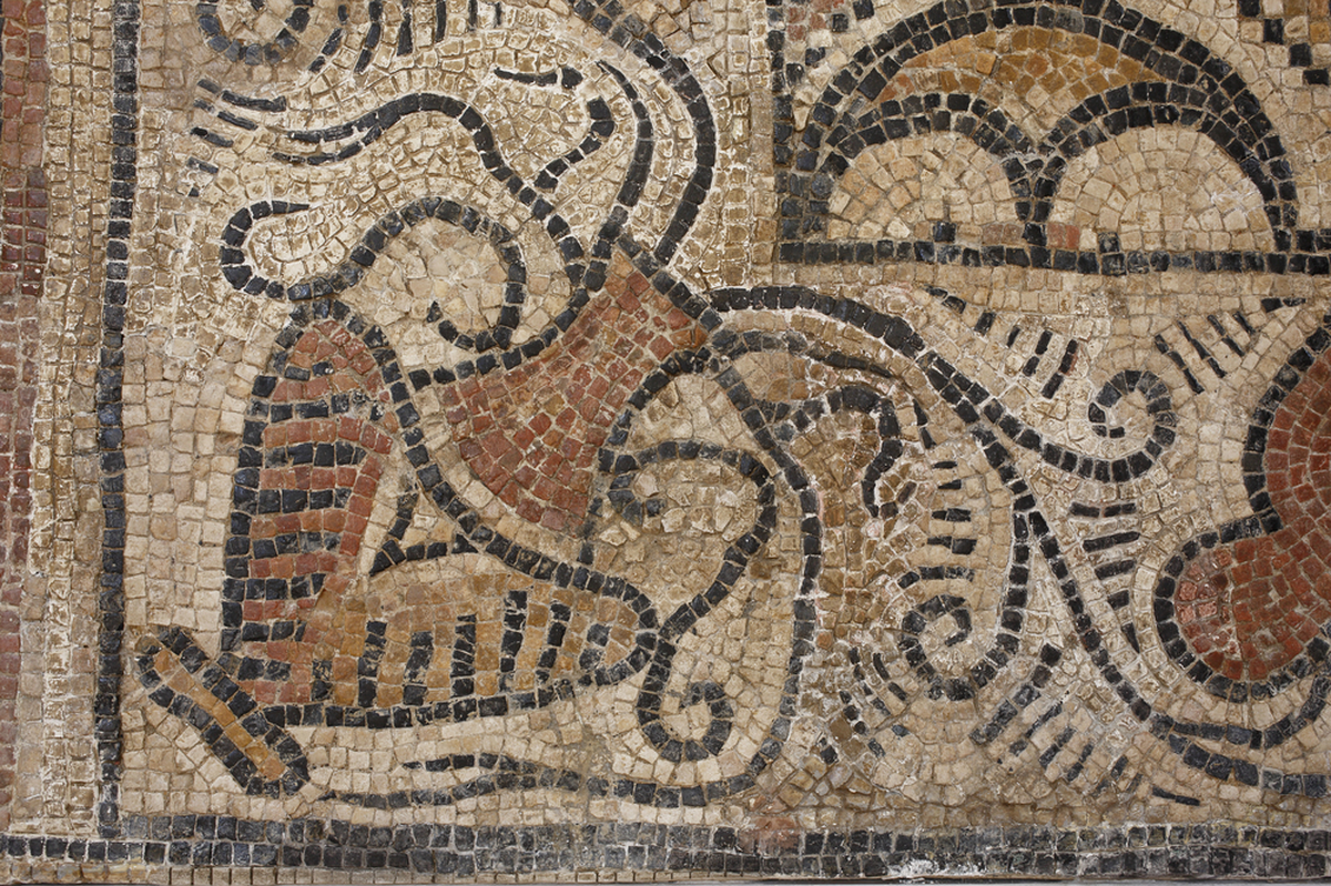 A La Decouverte Des Mosaiques Romaines De La Hillere
