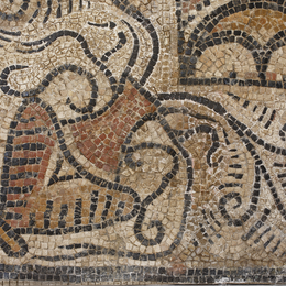 A La Decouverte Des Mosaiques Romaines De La Hillere