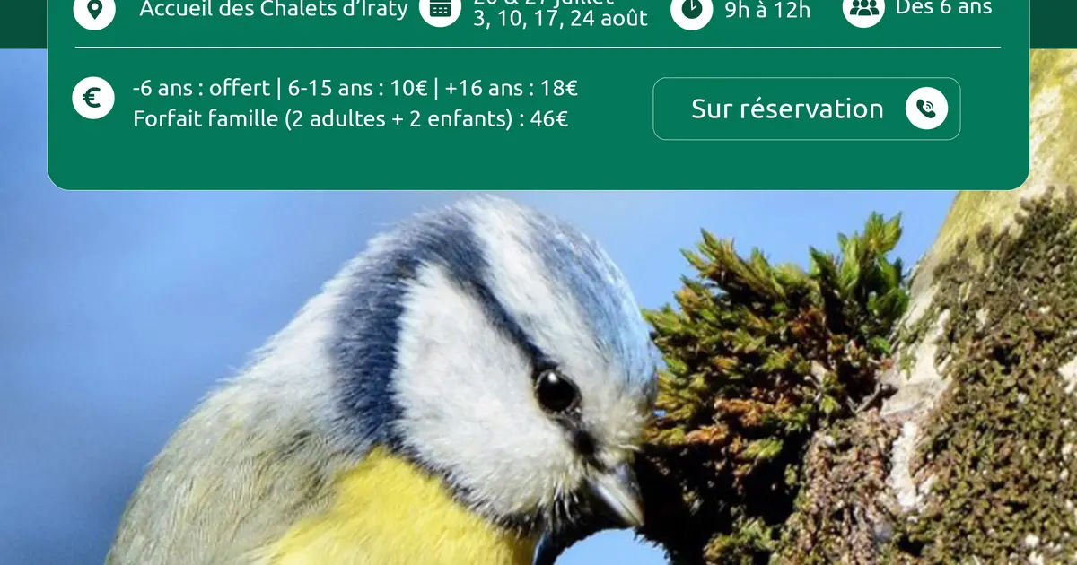 À la découverte des oiseaux