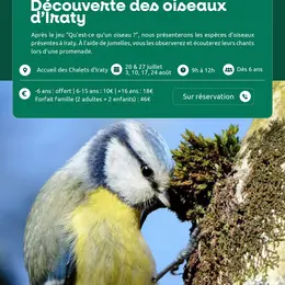 À la découverte des oiseaux