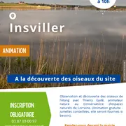 À la découverte des oiseaux