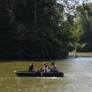 A la découverte des oiseaux au Lac des Minimes.