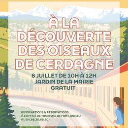 à La Découverte Des Oiseaux De Cerdagne - Mercredi 8 Juillet