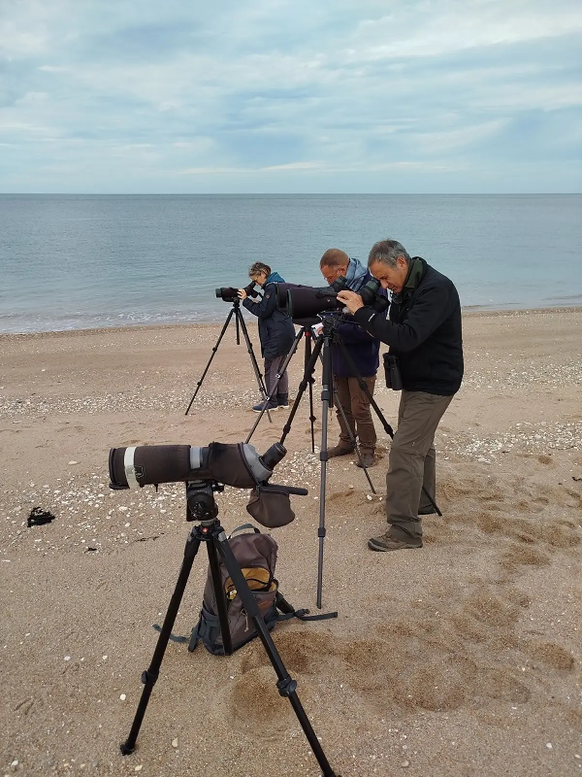 A la découverte des oiseaux de Gatteville-le-Phare
