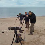 A la découverte des oiseaux de Gatteville-le-Phare